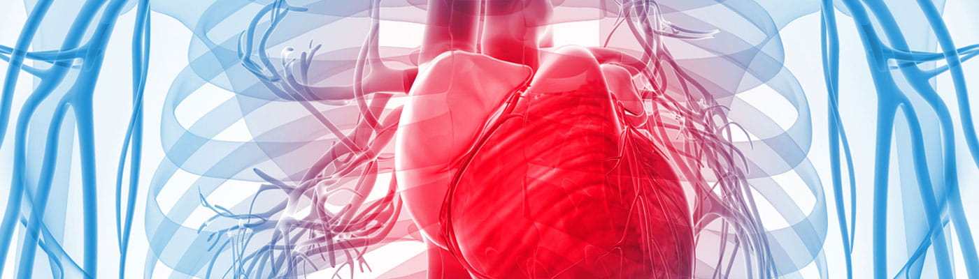 Cardiology